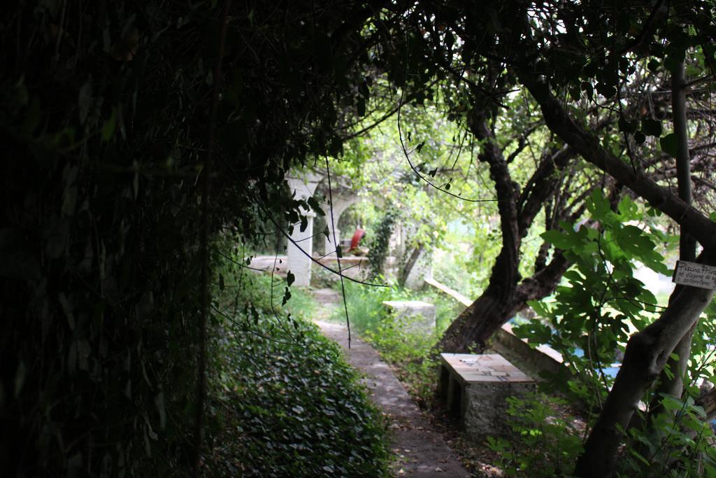 Chorros Del Rio Mundo Bed and Breakfast Riópar Eksteriør billede